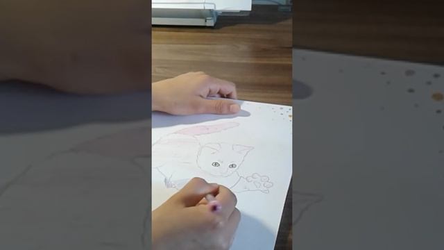 Пародия  на DIY. Как красиво разукрасить котика