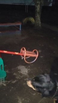 боберой на качелях