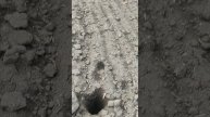 1000550512.mp4