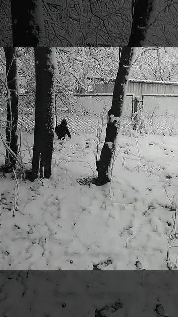 чудеса природы Снег  весной 22.03.20 сказка , удивительное на планете