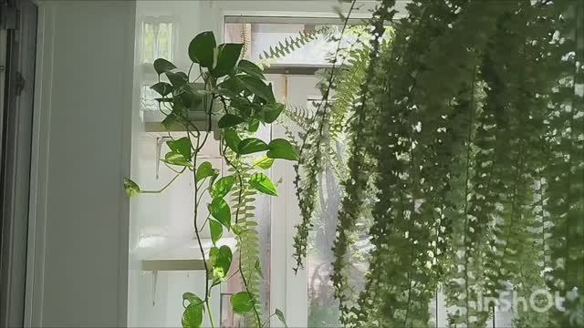 1000004884.mp4