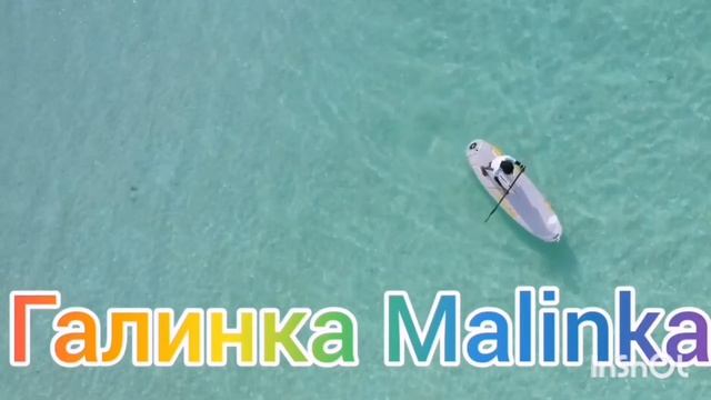 Вредина Лайф /Vredina Life /Два клоуна под сраку лет /Обзор Влогов /