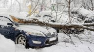Майская метель оставила без электричества 90 населенных пунктов Подмосковья