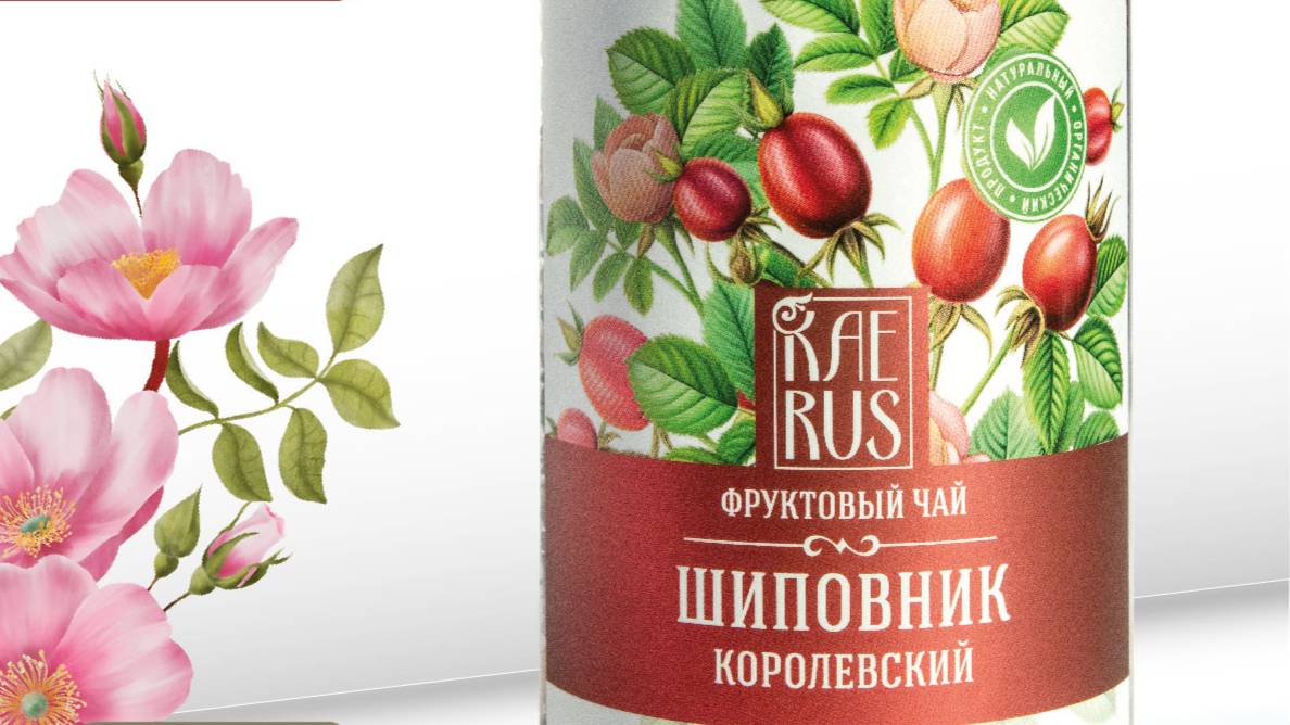 Шиповник Королевский