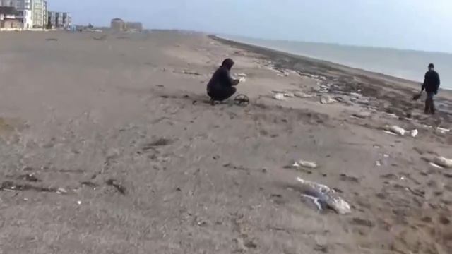 Поиск Ценностей на Пляже после туристов