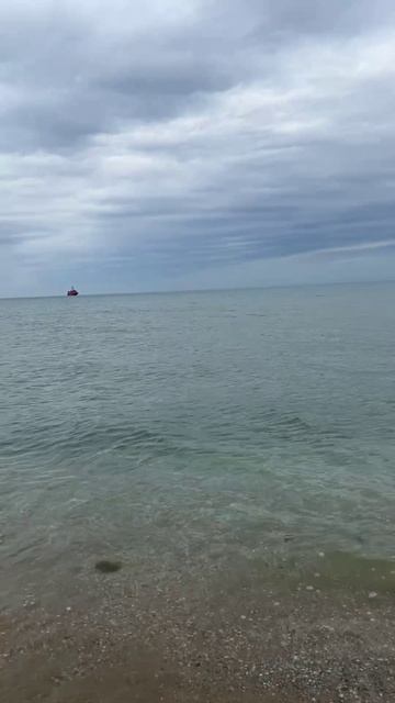 Анапа сегодня. Увы, мазут действительно есть. Остается на подошвах, ракушках, руках #анапа #море