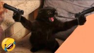 ПРИКОЛЫ С ЖИВОТНЫМИ ДО СЛЕЗ / Смешные коты / Funny Animals / Самые смешные животные #2