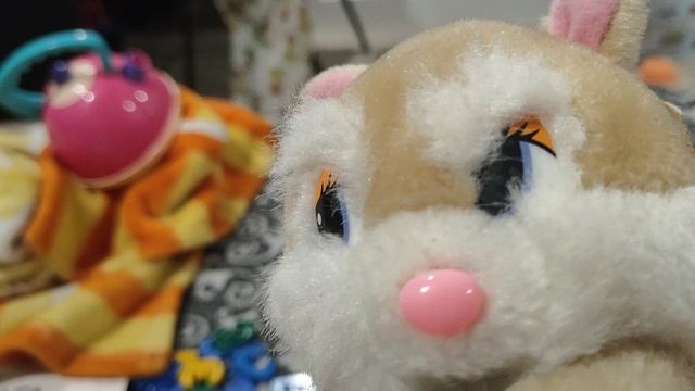 играем в мягкую игрушку белку