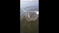 Рыболовные приключения на базе "ВЕРХНЕЛЕБЯЖЬЕ FISH RESORT"