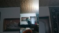 Я В ДЕРЕВНЕ!