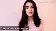 Шон Мс Хайфи хусни зебот