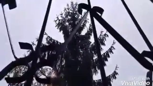 Снег Снег Снег