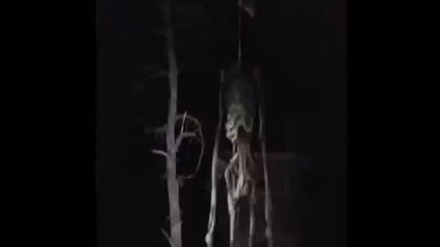 я это сам сделал картинки !