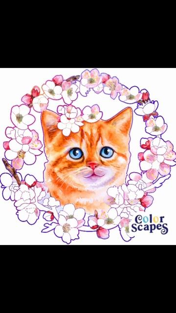 Любишь котят? С тебя лайк! #art #котята #животные #длядетей