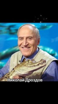 В мира животных