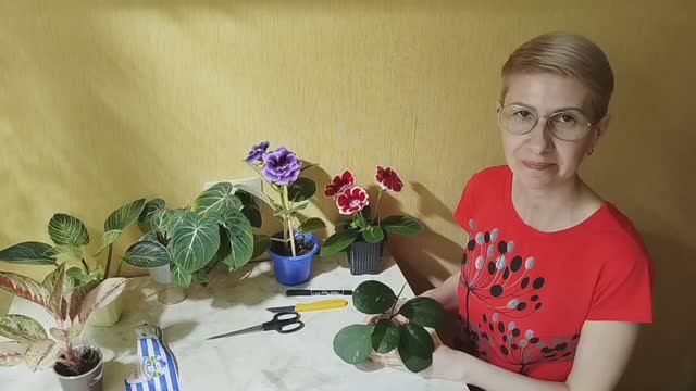 1000004773.mp4