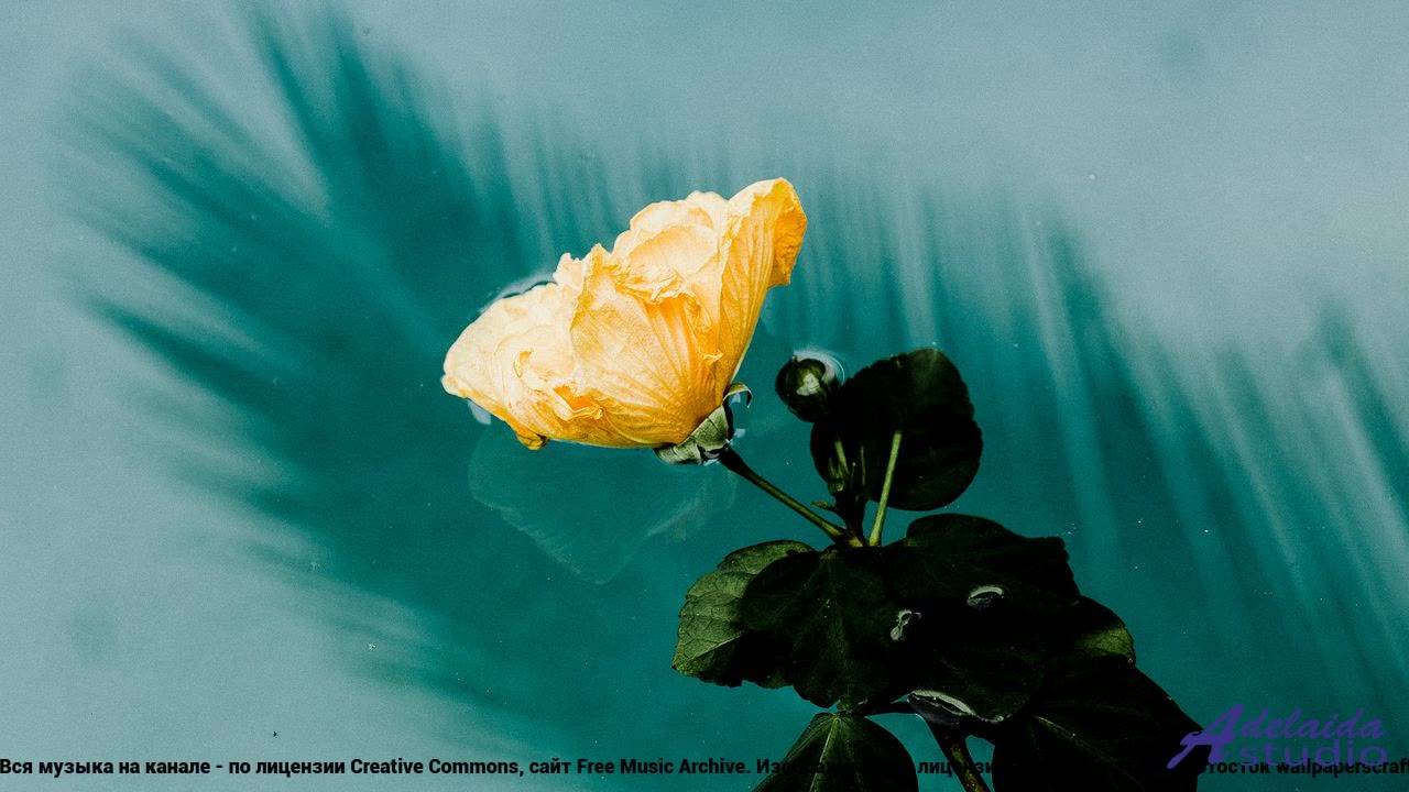 ☞ ❤ ♫ Трек, в котором слышен ветер - Colourful Awakening (Medium 2 Version) -- BoDleasons -- Feels L