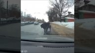 Человек остановился, чтобы помочь женщине, которая упала.