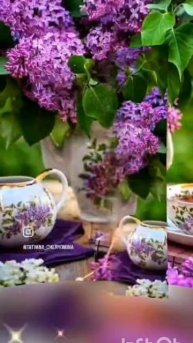 Всем - уюта и тепла !🤗🥀