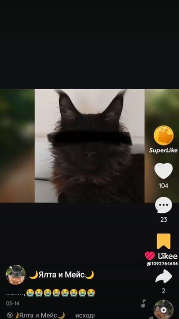 1000000904.mp4