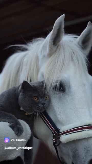 📸..