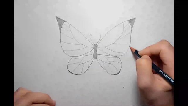 көбелек сызу ( өте оңай )\нарисовать бабочку\ draw a butterfly\