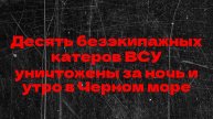 Десять безэкипажных катеров ВСУ уничтожены за ночь и утро в Черном море