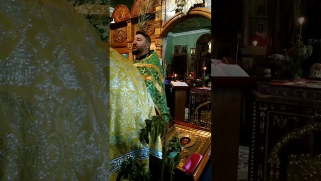 Отложим попечение