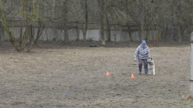 ПРК Паркер Элианора из Остафьево