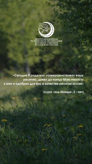 Аят #shorts
