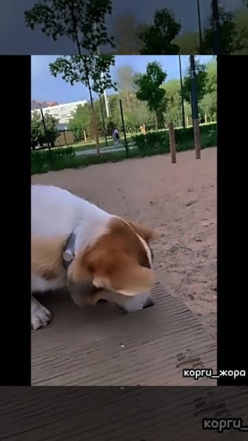 Жорикс😌😙