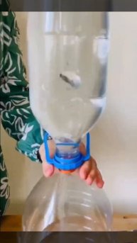 Торнадо в бутылке