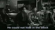 忍びの者 しのびのもの. человек шпион