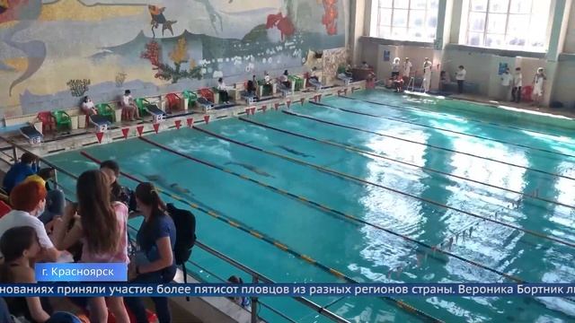 Чемпионы в ластах