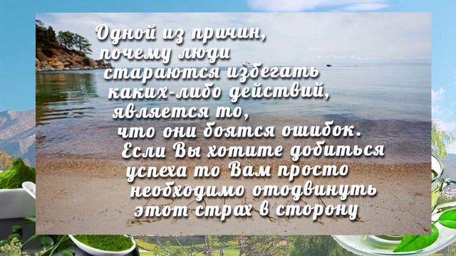 Зеленый чай