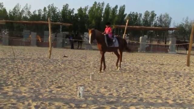 Занятия с детками в HORSERIDING HURGHADA