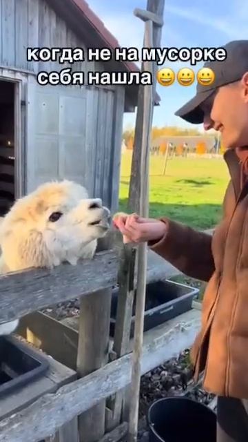 Нечего травить.mp4