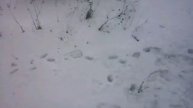 Паркур по гаражам