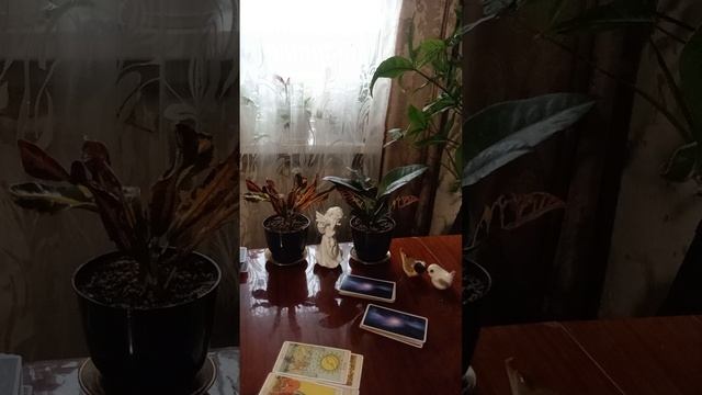 Таро.Кто и что думает о вас сейчас.