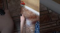Играем с машинкой