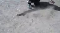 страховка