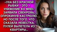 Истории из жизни. УХА БЕЗ КРАСНОЙ РЫБКИ ЭТО Жизненные истории, Аудио рассказы слушать