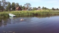 Лето - это маленькая жизнь!