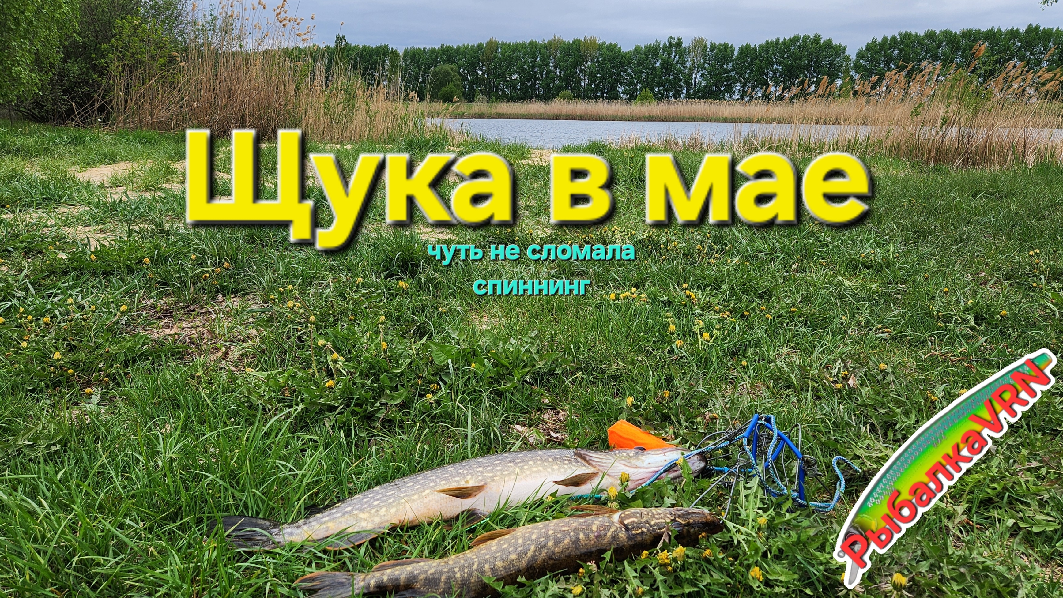 [2025]Рыбалка на спиннинг в мае
