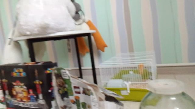 играем в все уревени в Лего Марио