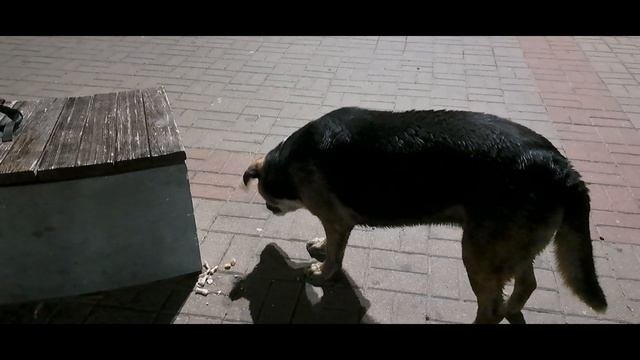 Процессы, прогулки в парке и разукрашки.