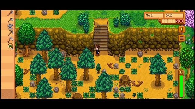 Начало#Stardewvalley