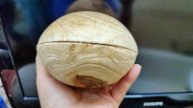 Ржится рожь, овёс овсится, чечевица – чечевится!