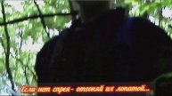 ПО Коминтерн-мл.группа- Губаревский плацдарм-2007.mp4