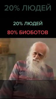 VID_20250502_234042_978.mp4